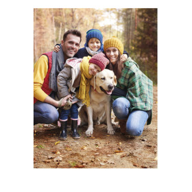 Magnet format carte postale sur un réfrigérateur de cuisine